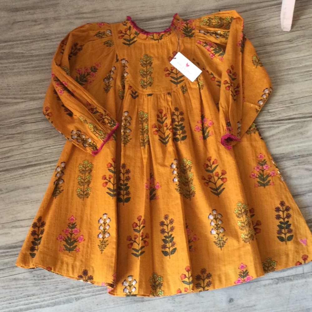 Pink Chicken girls Brayden dress - gold field floral